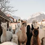 Uebernachtung Beim Tierpark Tragoess Grossdorf (Styria)