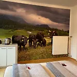 Agroturismo Alpakas, Lamas Und Rentiere Zum Grünen