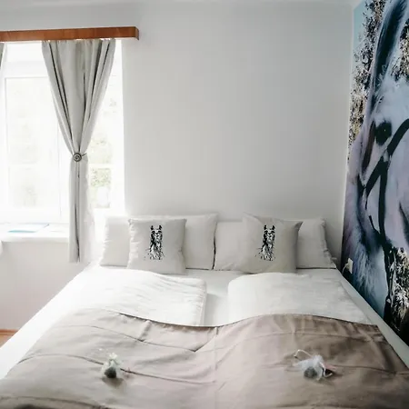 Alpakas, Lamas Und Rentiere Zum Gruenen * Grossdorf (Styria)