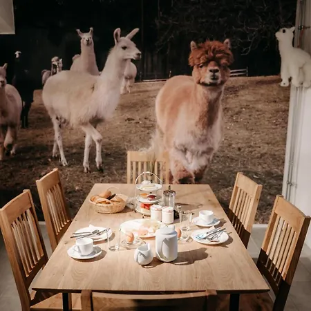 Alpakas, Lamas Und Rentiere Zum Gruenen Фермерский дом *
