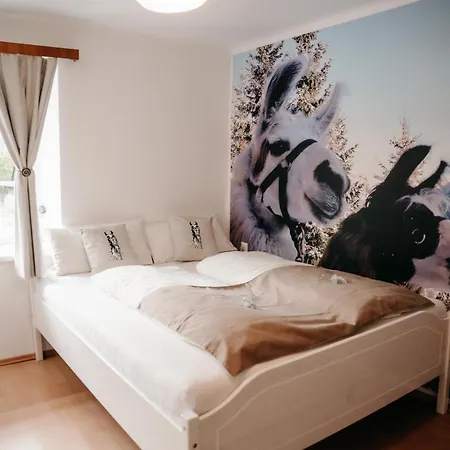 Alpakas, Lamas Und Rentiere Zum Gruenen * Grossdorf (Styria)