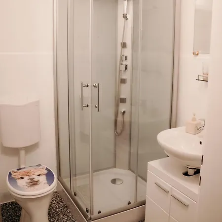 Alpakas, Lamas Und Rentiere Zum Gruenen *