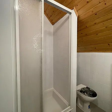 Alpakas, Lamas Und Rentiere Zum Gruenen Grossdorf (Styria)