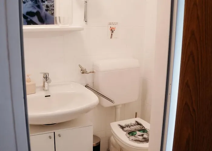 Alpakas, Lamas Und Rentiere Zum Grünen Bauernhof Grossdorf (Styria)