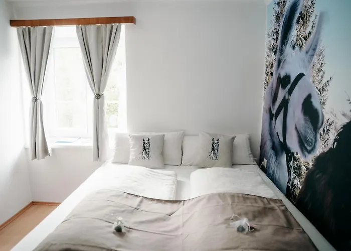 Alpakas, Lamas Und Rentiere Zum Grünen * Grossdorf (Styria)