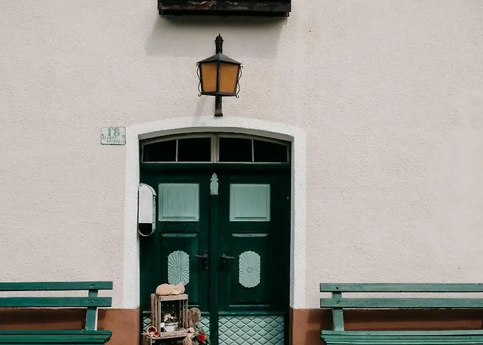 Alpakas, Lamas Und Rentiere Zum Grünen * Grossdorf (Styria)