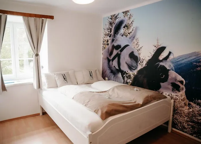 Alpakas, Lamas Und Rentiere Zum Grünen * Grossdorf (Styria)