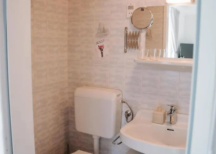 Alpakas, Lamas Und Rentiere Zum Gruenen * Grossdorf (Styria)