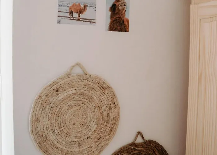 Alpakas, Lamas Und Rentiere Zum Grünen Grossdorf (Styria)