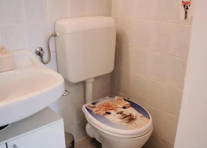 Alpakas, Lamas Und Rentiere Zum Grünen