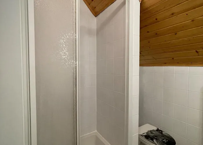 Alpakas, Lamas Und Rentiere Zum Grünen Grossdorf (Styria)