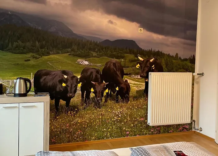 Lantgård Alpakas, Lamas Und Rentiere Zum Gruenen