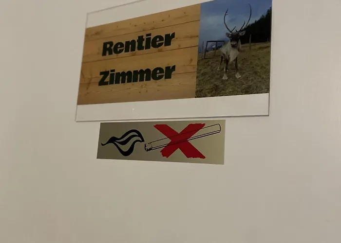 Alpakas, Lamas Und Rentiere Zum Gruenen Lantgård *